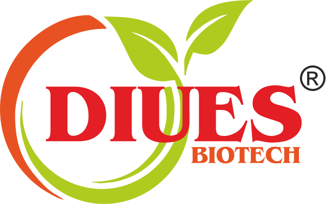Diues Biotech